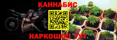 молекула духа Усть-Джегута