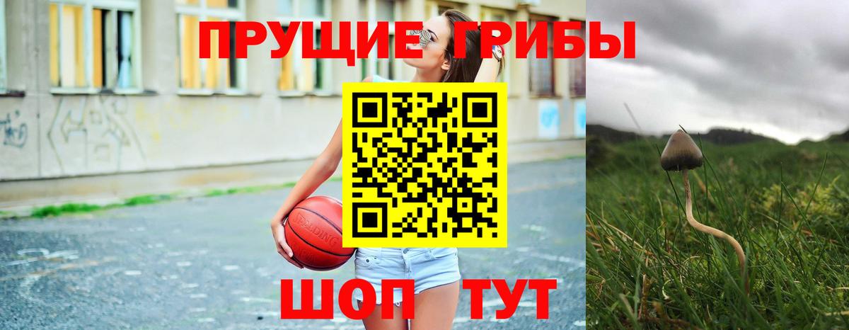 Псилоцибиновые грибы GOLDEN TEACHER Аксай