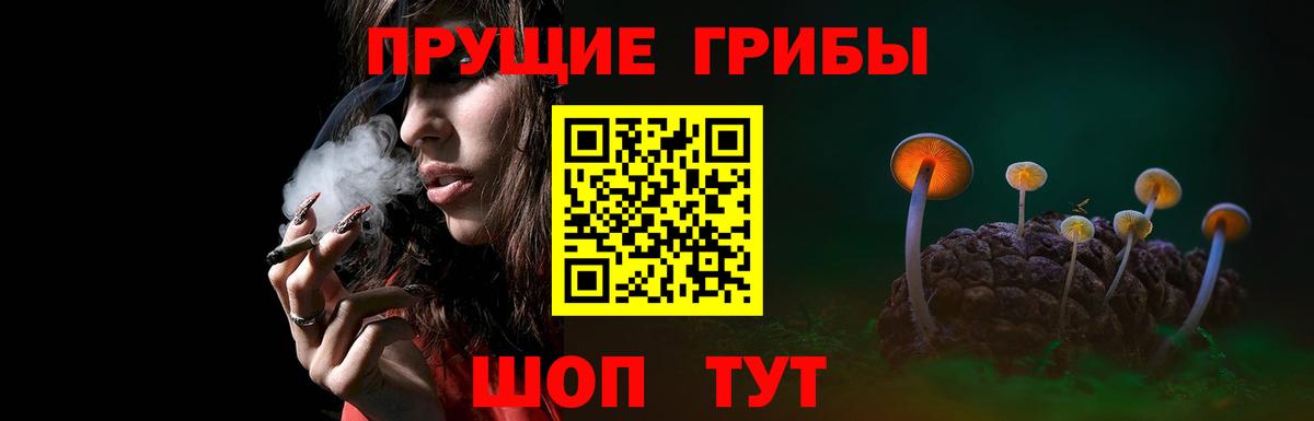 Аксай  Галлюциногенные грибы прущие грибы  Вход с VPN 